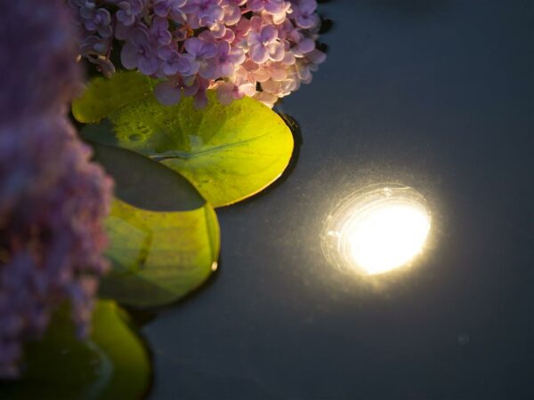 Aqua Light 30 LED - Image 2