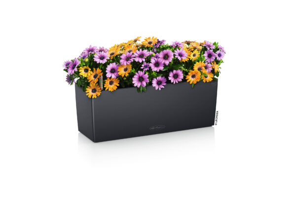 Balconera Color 50 saviliuske All-In-One Set - Image 2