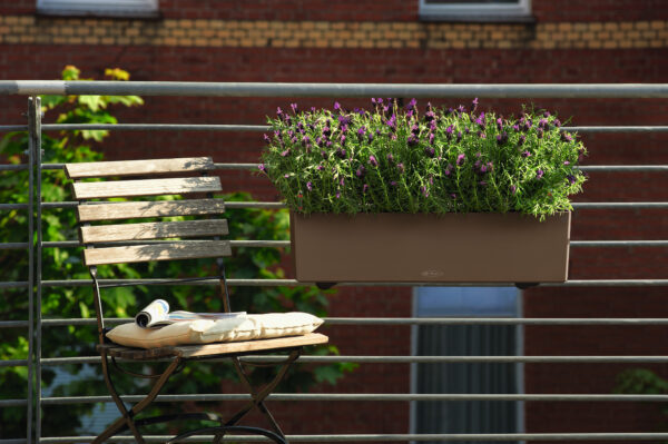 Balconera Color 80 pähkinä All-In-One Set - Image 3