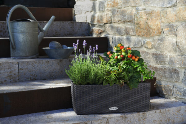 Balconera Cottage 50 graniitti All-In-One Set - Image 4