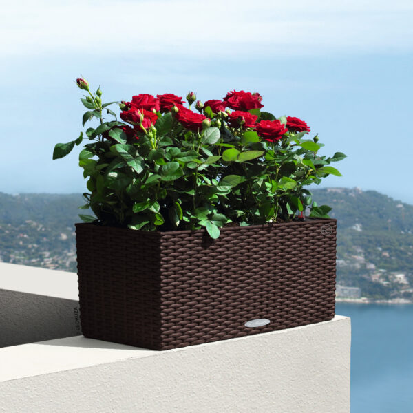 Balconera Cottage 50 mocca All-In-One Set - Image 3