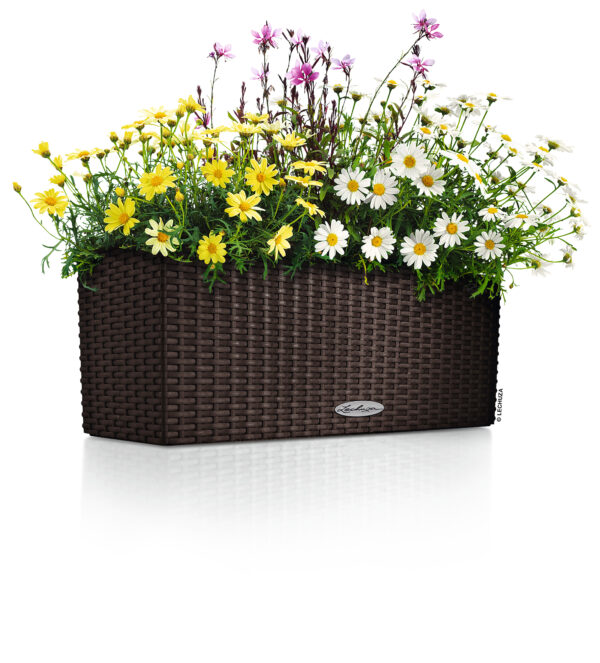 Balconera Cottage 80 mocca All-In-One Set - Image 3