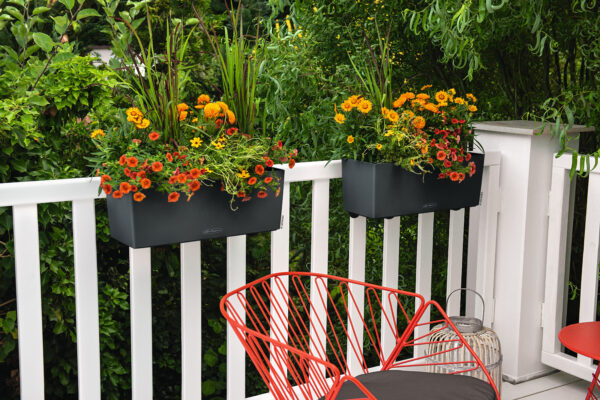 Balconera Color 50 saviliuske All-In-One Set - Image 4