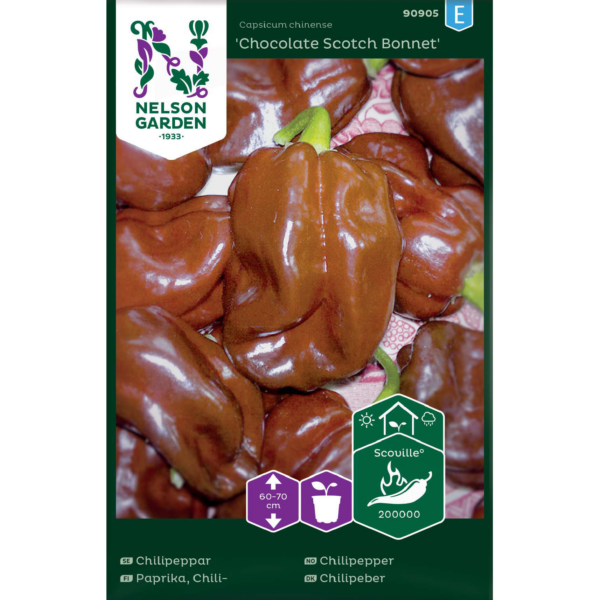 Paprika chili 'Chokolate Scotch Bonnet'