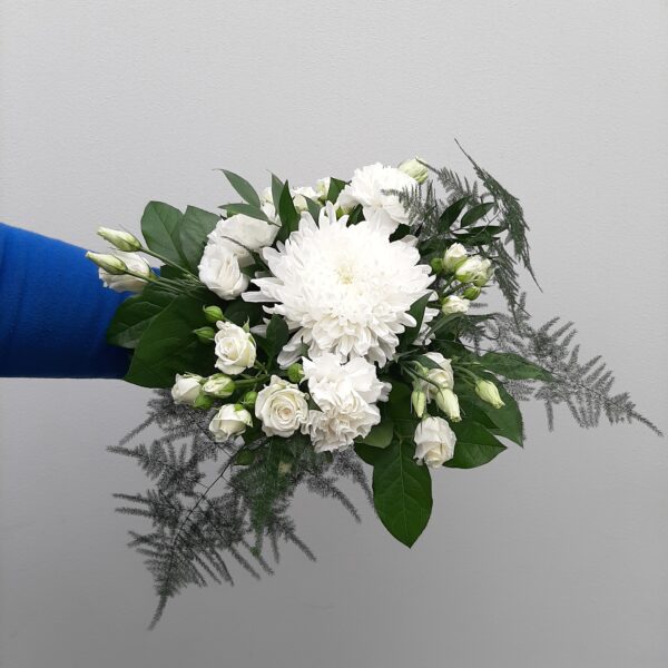 Harmonia - Image 3