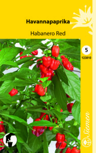 Havannapaprika ‘Habanero Red’