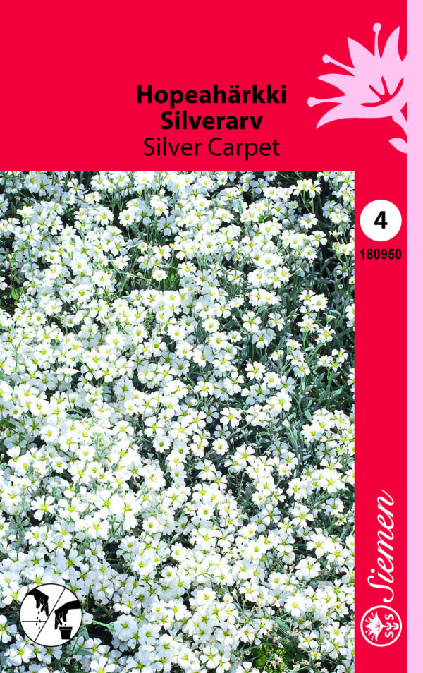 Hopeahärkki 'Silver Carpet'
