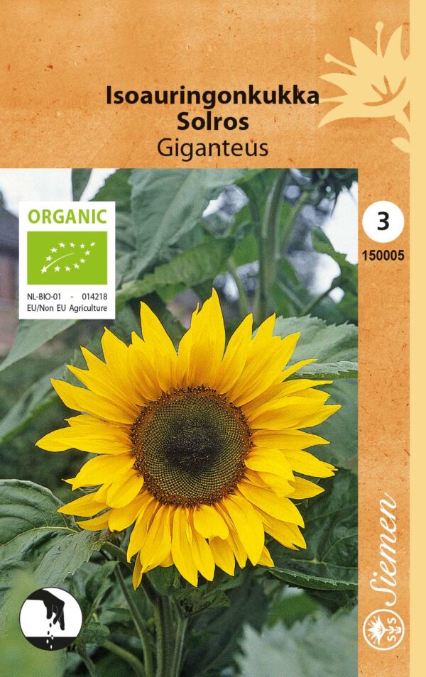 Isoauringonkukka 'Giganteus', Luomu