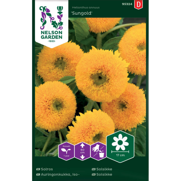 Isoauringonkukka 'Sungold'