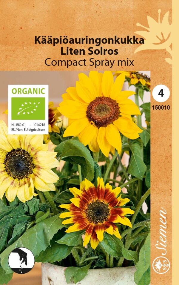 Kääpiöauringonkukka 'Compact Spray Mix', Luomu