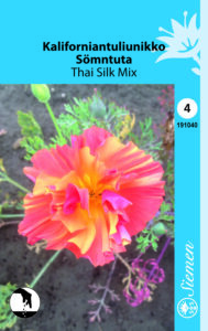 Kaliforniantuliunikko ‘Thai Silk Mix’