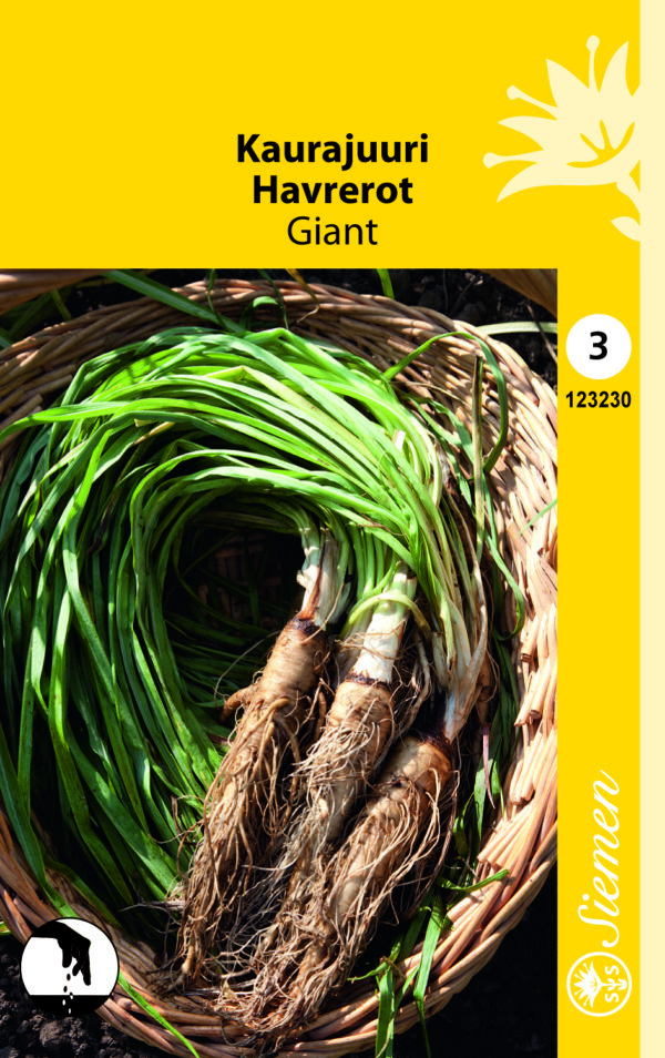 Kaurajuuri 'Giant'