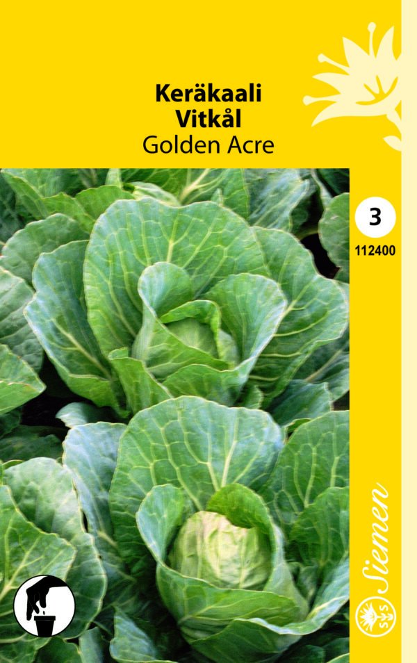 Keräkaali 'Golden Acre'