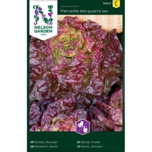Keräsalaatti ‘Merveille des quatres saisons’
