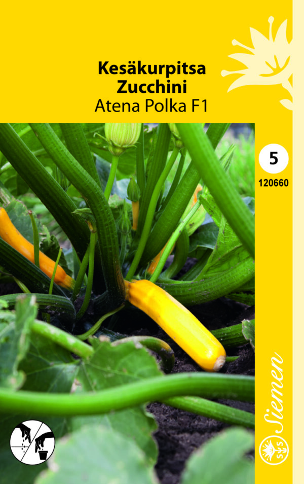 Kesäkurpitsa 'Atena Polka'F1