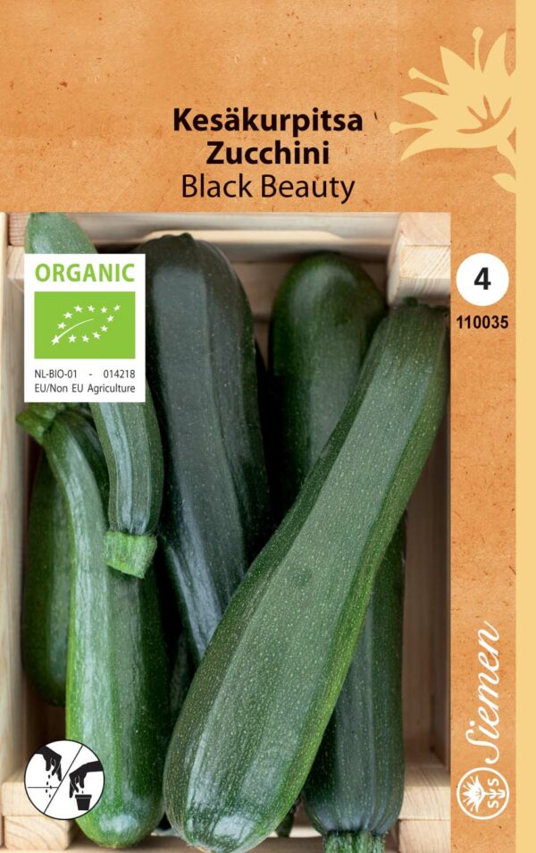 Luomu kesäkurpitsa 'Black beauty'
