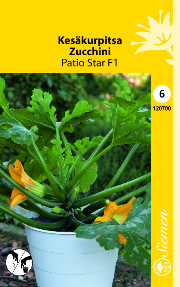 Kesäkurpitsa 'Patio Star' F1