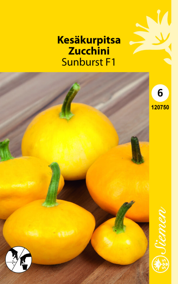 Kesäkurpitsa 'Sunburst' F1