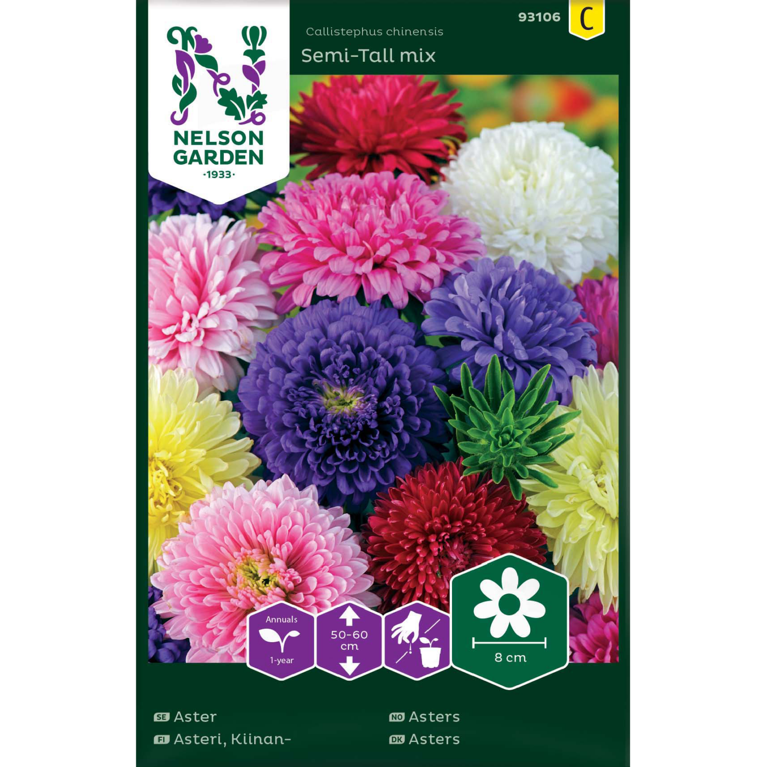 Kiinanasteri 'Semi-tall mix' - Viherkauppa