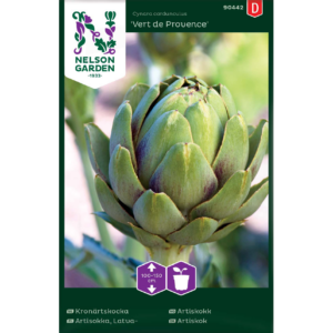 Latva-artisokka ‘Vert de Provence’