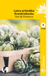 Latva-artisokka ‘Vert de Provence’