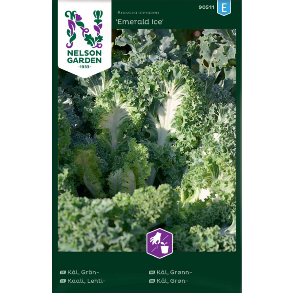 Lehtikaali 'Emerald Ice'