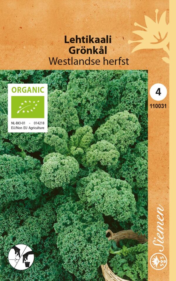 Luomu lehtikaali 'Westlandse herfst'