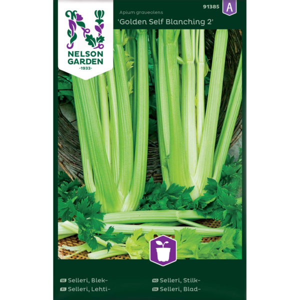 Lehtiselleri 'Golden Self Blanching 2'