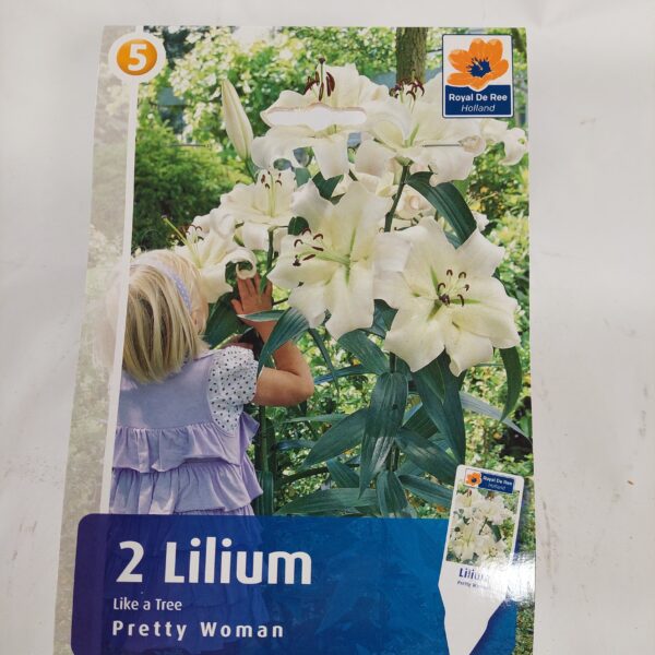 Puulilja 'Pretty Woman'  2 kpl