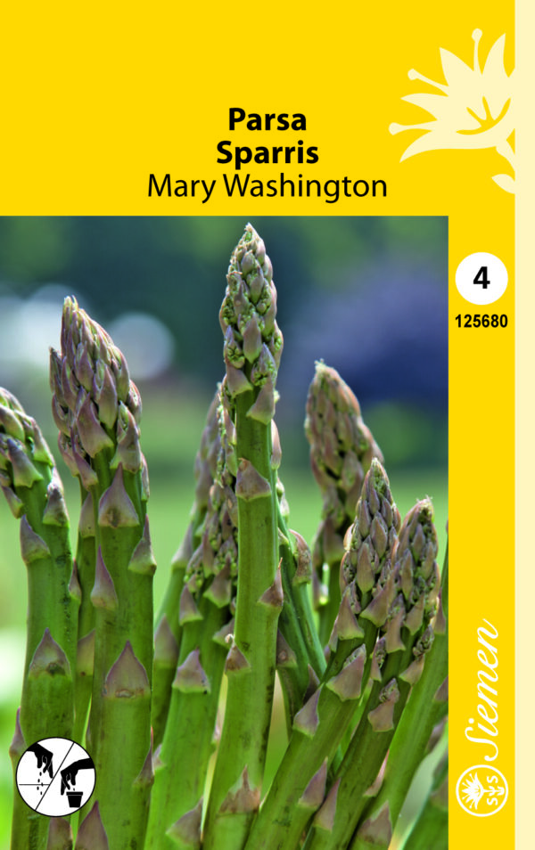 Parsa 'Mary Washington'