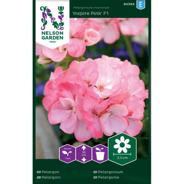 Pelargoni 'Inspire Pink F1'
