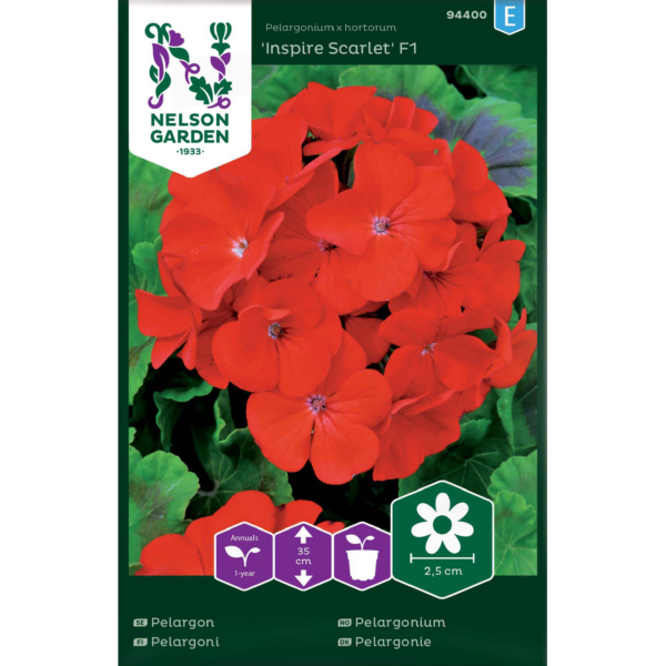 Pelargoni 'Inspire Scarlet F1'