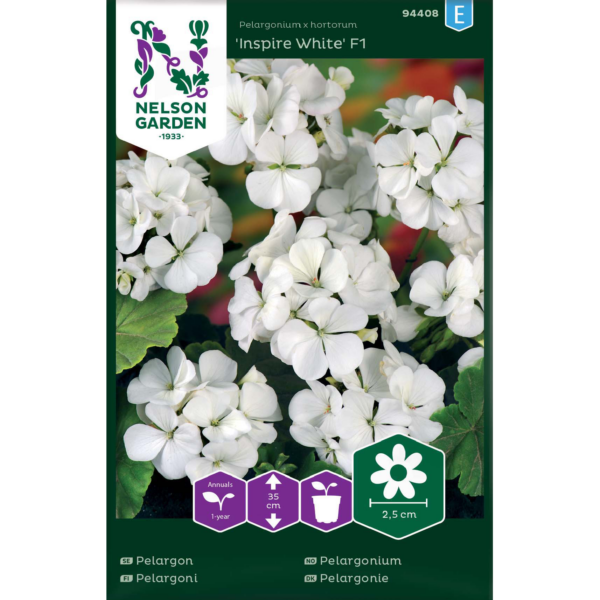 Pelargoni 'Inspire White F1'