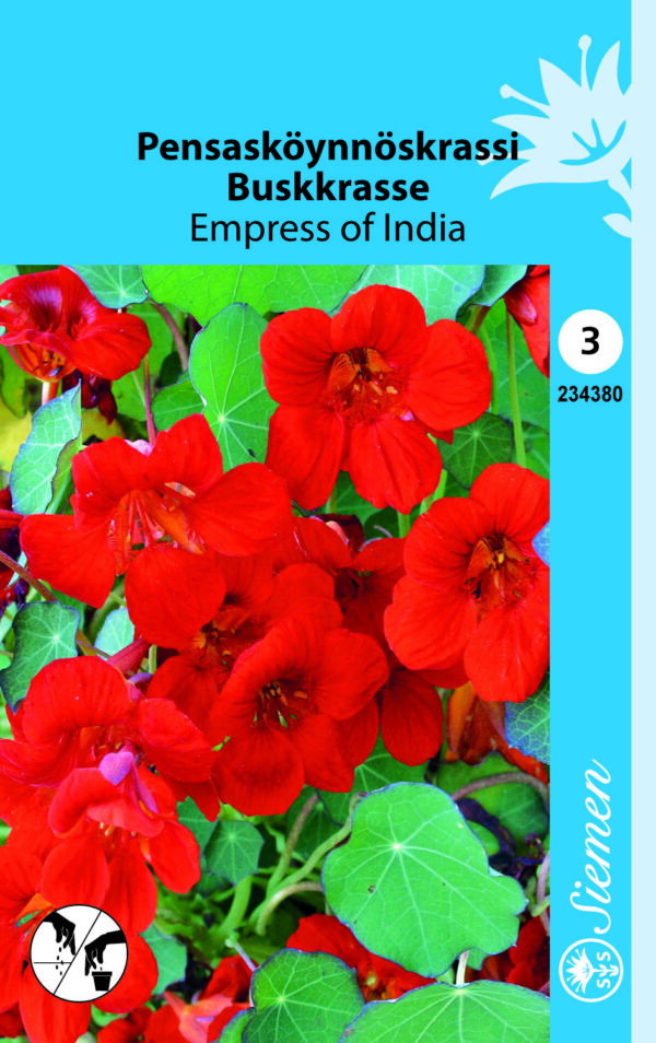 Pensasköynnöskrassi 'Empress of India'