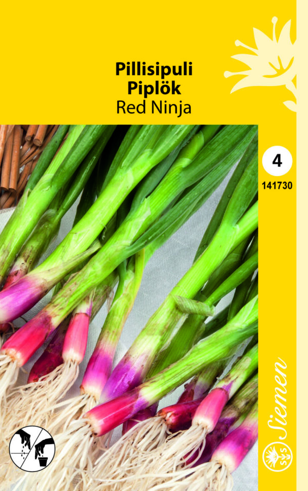 Pillisipuli eli talvisipuli 'Red Ninja'
