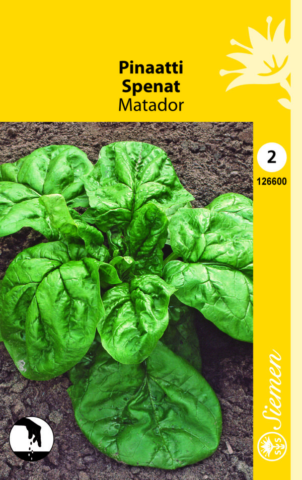 Pinaatti 'Matador'