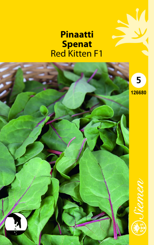 Pinaatti 'Red Kitten'F1