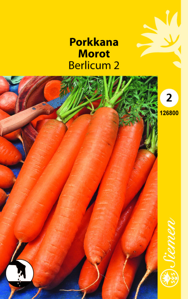 Porkkana 'Berlicum 2'