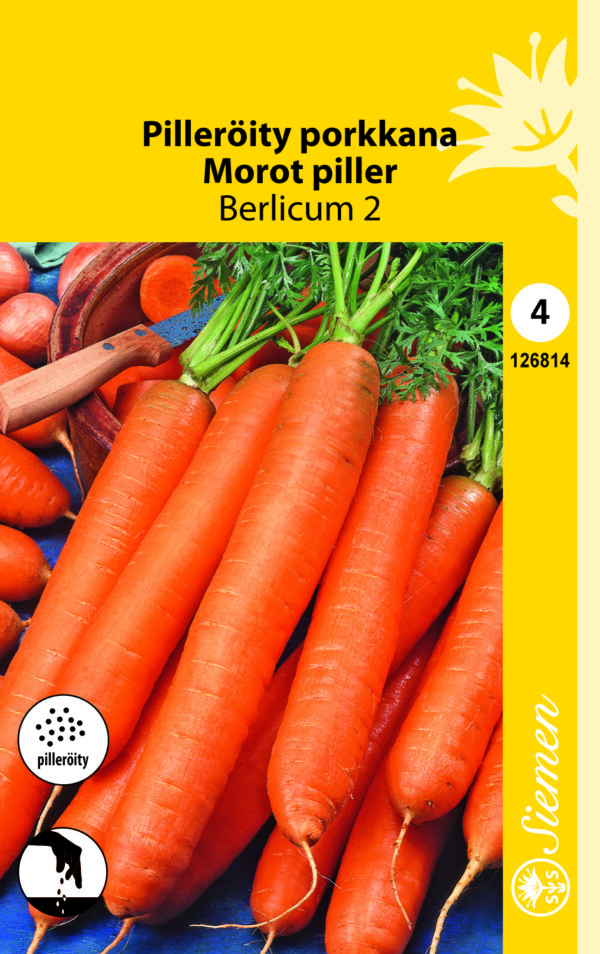 Porkkana Pilleröity 'Berlicum 2'