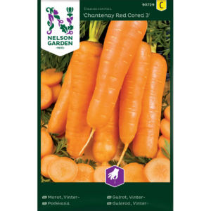 Porkkana ‘Chantenay Red Cored 3’