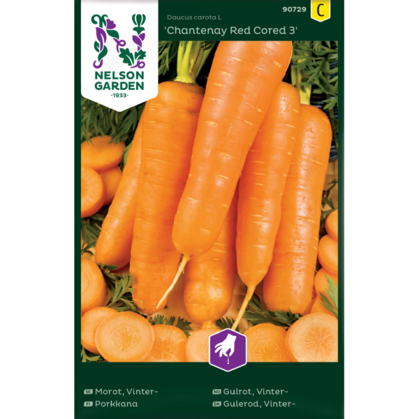 Porkkana 'Chantenay Red Cored 3'