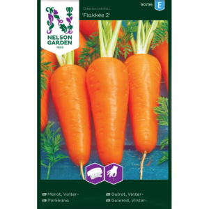 Porkkana ‘Flakkee 2’ Organic
