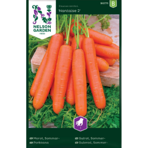 Porkkana ‘Nantaise 2’