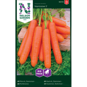 Porkkana ‘Nantaise 2’  Big Pack