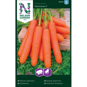 Porkkana ‘Nantaise 2’ kylvönauha