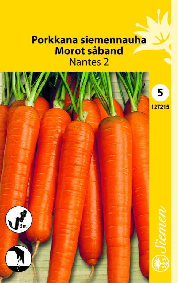 Porkkana siemennauha 'Nantes 2'