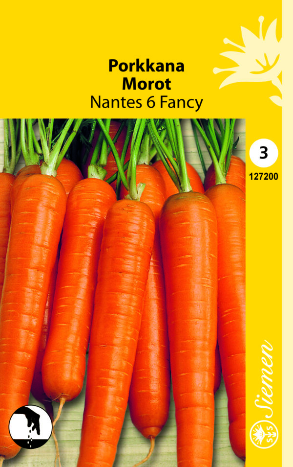 Porkkana 'Nantes 6 Fancy'