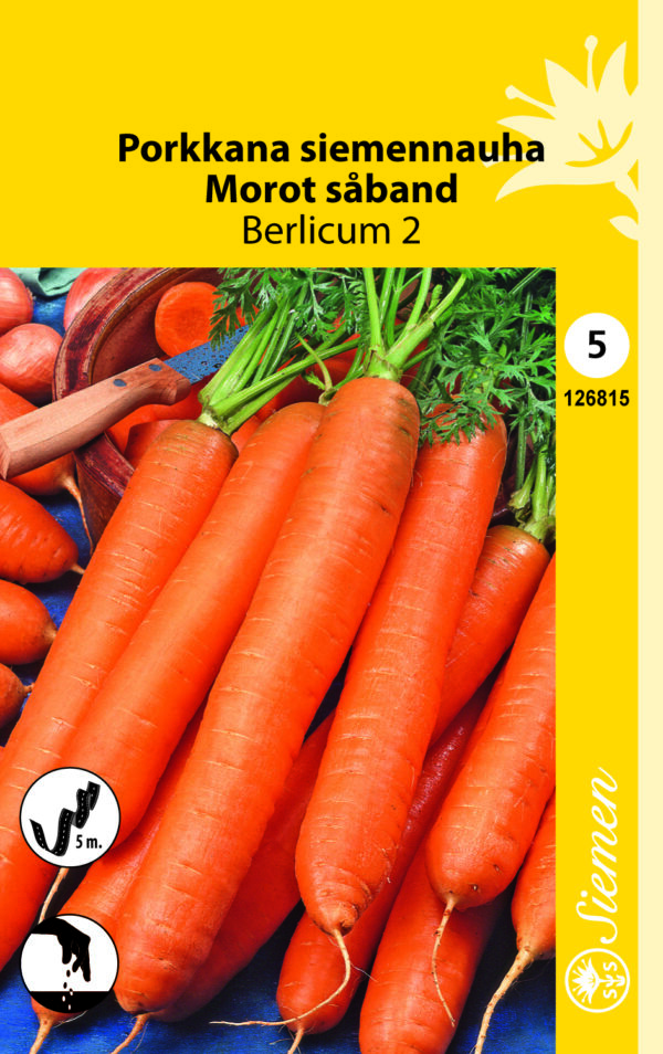 Porkkana 'Berlicum 2' siemennauha
