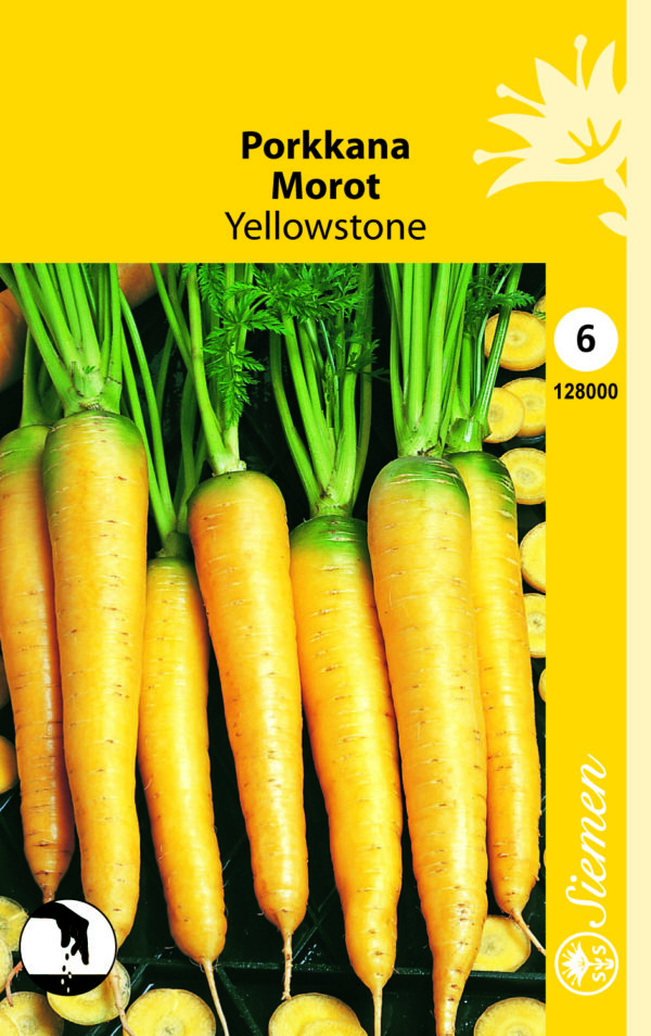 Keltainen porkkana 'Yellowstone'