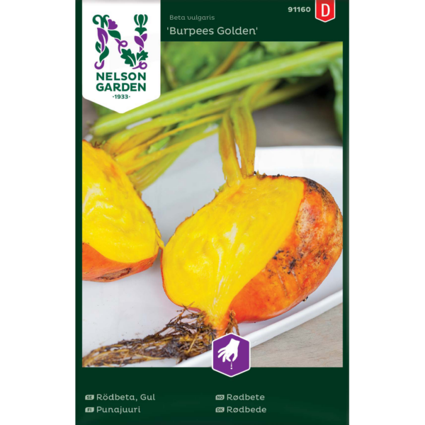 Punajuuri,'Burpees Golden'